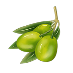 بازار پروتئین
